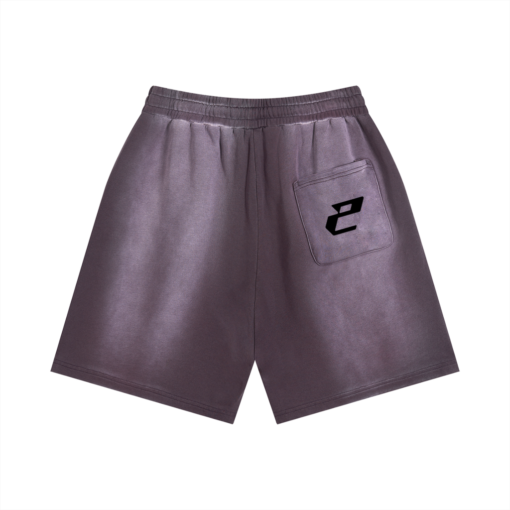 Sun Fade Distressed Shorts