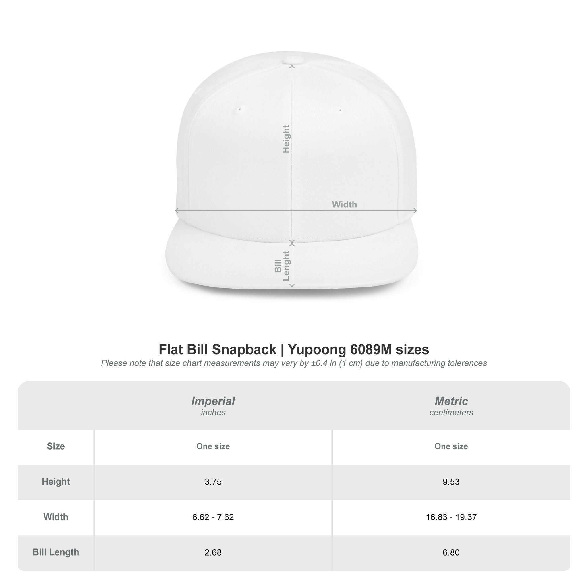 Retro Tech Logo Flat Bill Snapback Hat